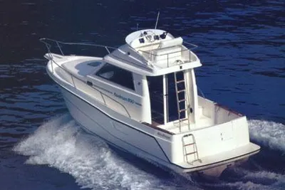 Rodman 800