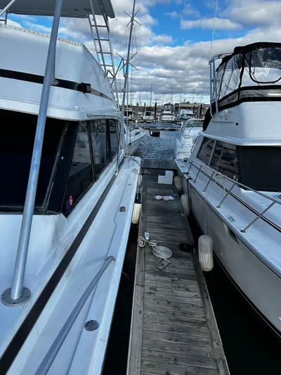 For Reel Yacht Photos Pics Port Looking Aft