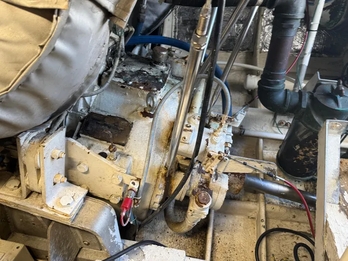 For Reel Yacht Photos Pics Starboard Transmission