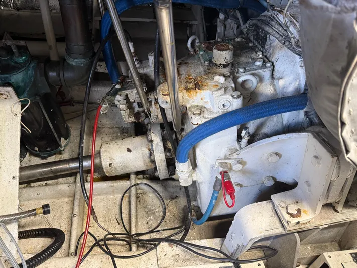 For Reel Yacht Photos Pics Port Transmission