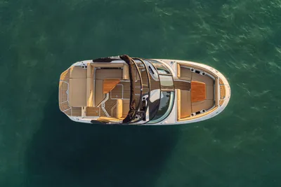 Sea Ray SDX 230