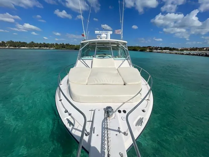 Bona Vita Yacht Photos Pics Bow Cushions