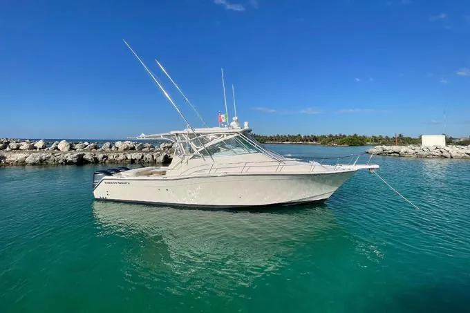 Bona Vita Yacht Photos Pics Alternate Stern Profile