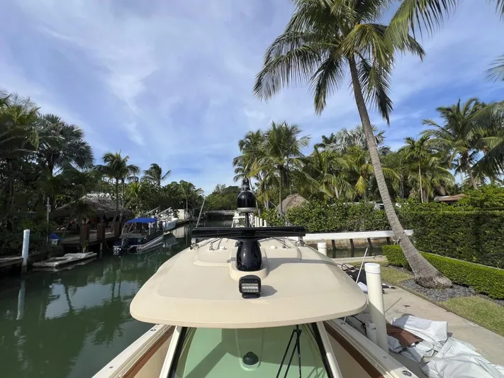 Zooropa Yacht Photos Pics 2016 Scout 420 LXF boat docked near tropical palm trees and calm water.