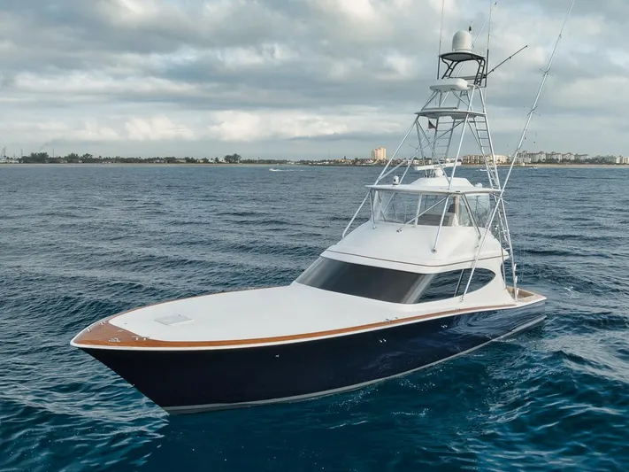 Ziggy Yacht Photos Pics 