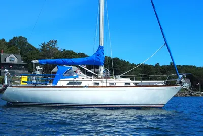 Bristol 31