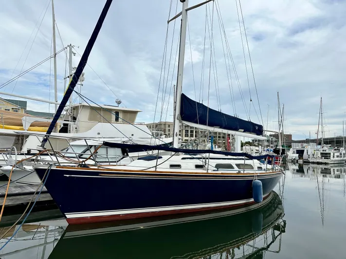 Buena Vida Yacht Photos Pics 