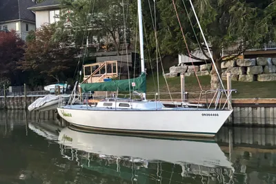 Evelyn 32