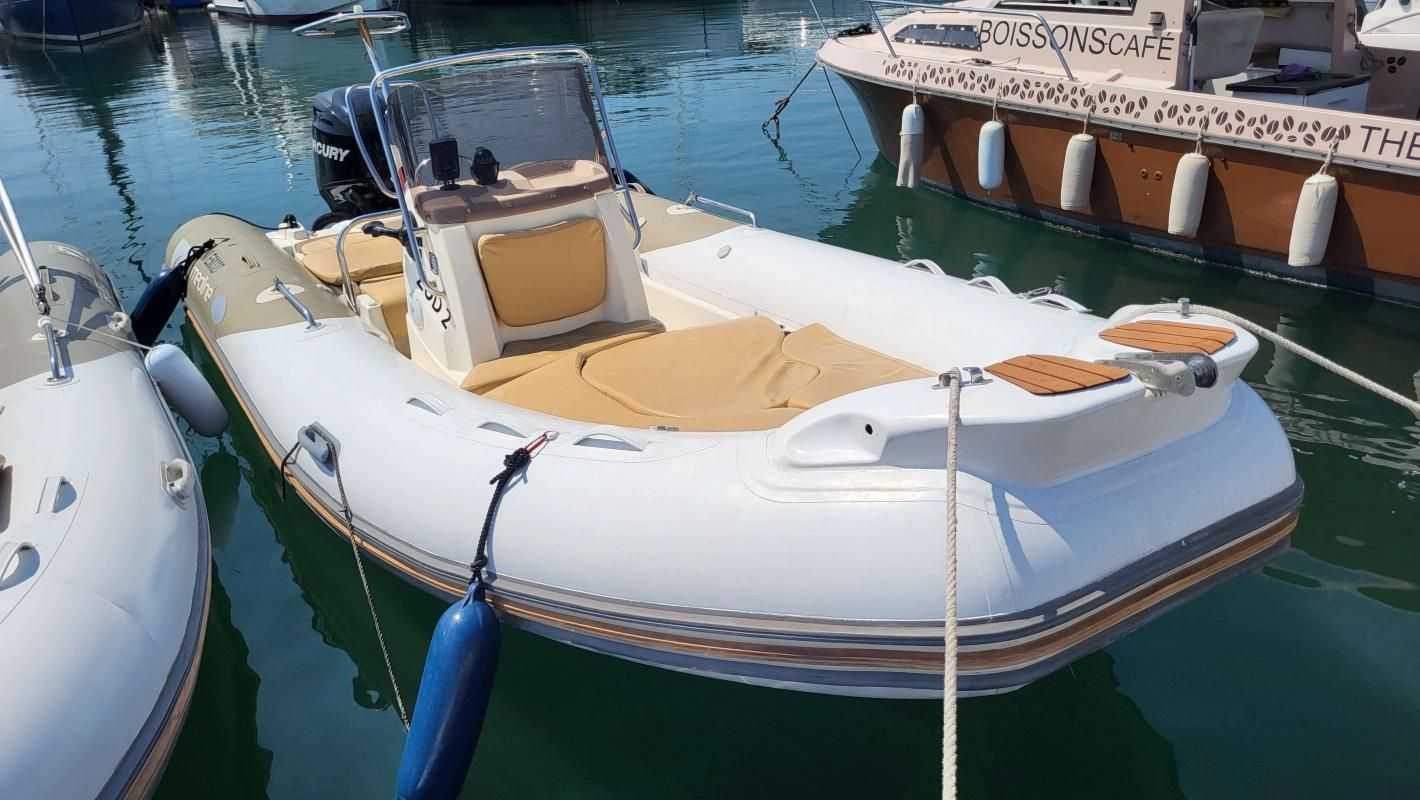 2011 Zodiac Medline 650