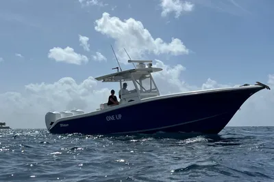 Triton 351