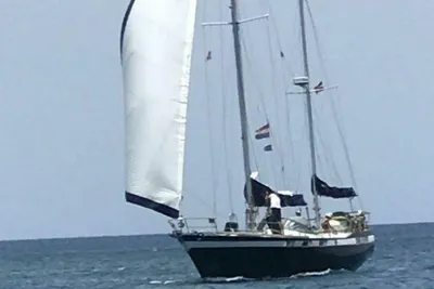 Wauquiez Amphitrite