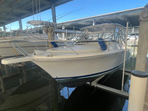 Luhrs 28 Open