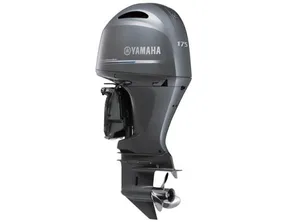 2022 Yamaha F 175 XCA