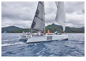 2008 Grainger panther 38