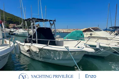 2010 White Shark 206