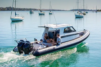 2025 Protector 310 Targa