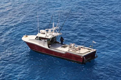 Custom Hoku 40