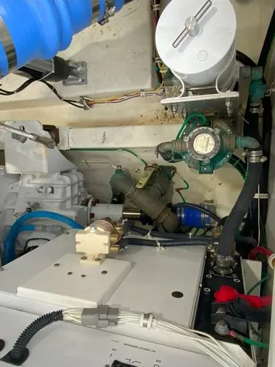 Salty Bear Yacht Photos Pics 