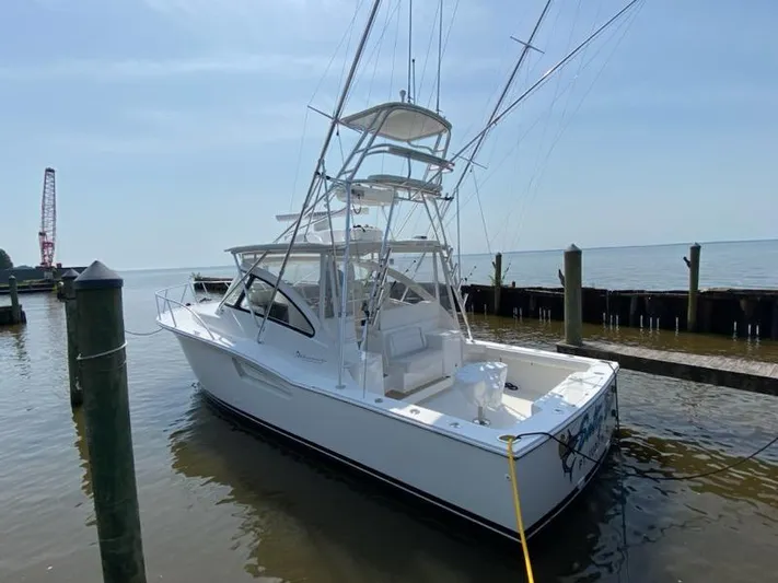 Salty Bear Yacht Photos Pics 
