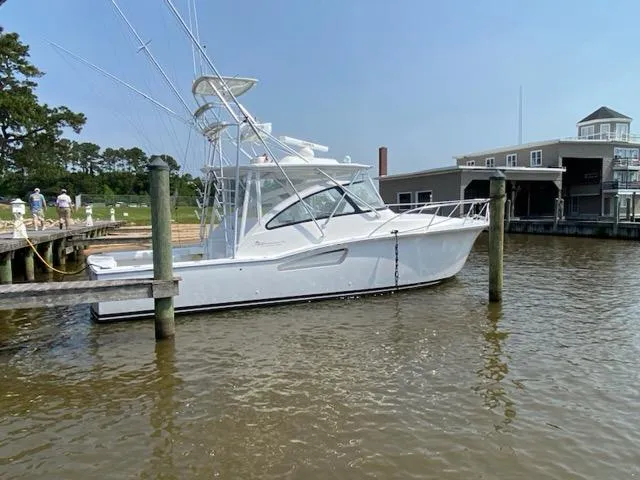 Salty Bear Yacht Photos Pics 