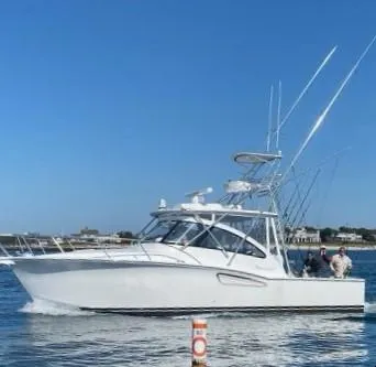 Salty Bear Yacht Photos Pics 
