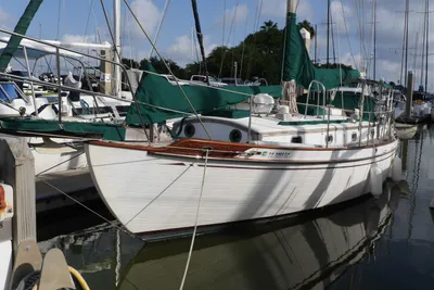 Tayana 37