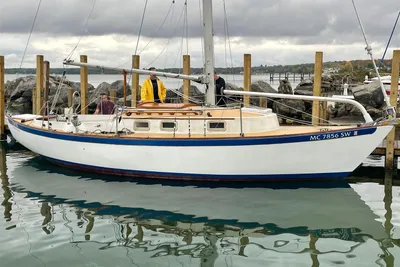 Vineyard Vixen 29