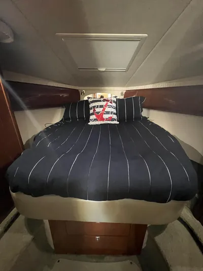 Seaclusion Yacht Photos Pics 