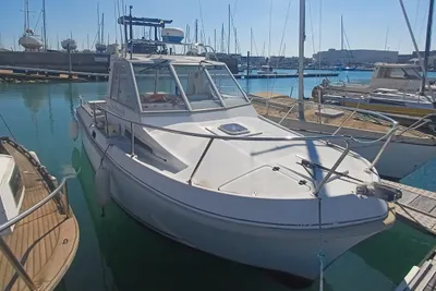 1991 Eider Marine Sea Rover