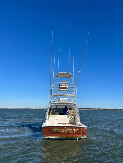 Stafly Yacht Photos Pics 