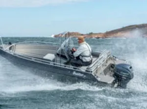 2025 Yamaha F 30 BETL