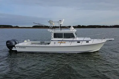 Steiger Craft 31 Chesapeake