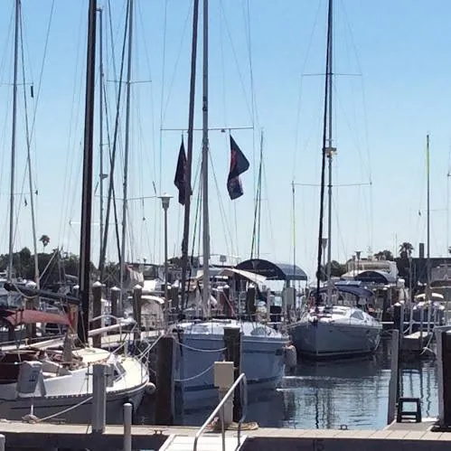 Catalina 425 In Stock Yacht Photos Pics Marina with Catalina 425 sailboats docked, 2024 model, under clear blue sky.