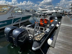 2017 Ribquest Harmann 10m