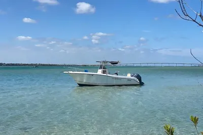 Seaswirl Striper Striper 2601_