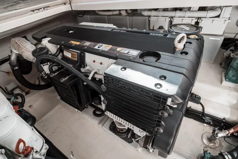 Rose Yacht Photos Pics 