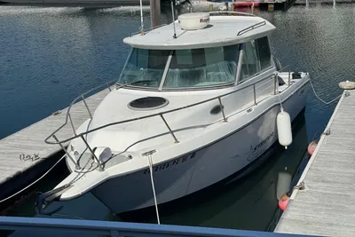 Seaswirl Striper 26