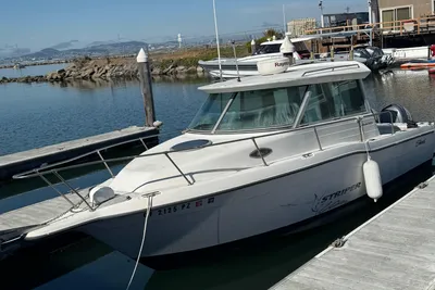Seaswirl Striper 26