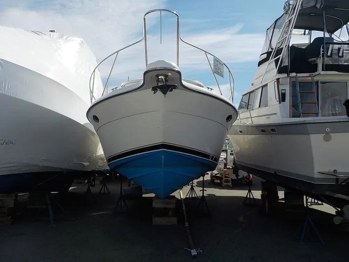 "merr Sea" Yacht Photos Pics 