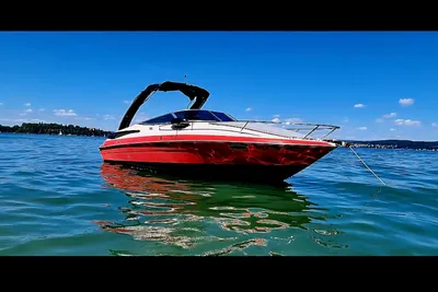 2014 Europa Viper 243