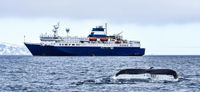 1985 Cruise Ship -240 Passenger - Ice Classed Expedition - Stock No. S2396