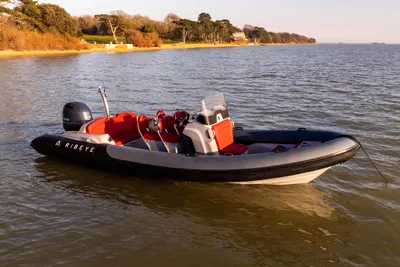 2023 Ribeye A683 25% share