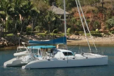 Ocean Cat 49