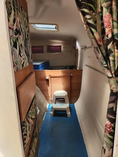 Lickety Split Yacht Photos Pics 