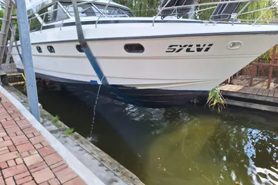 1991 Princess 388