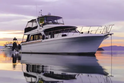 Navigator 50