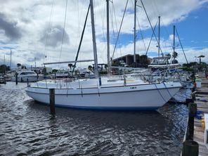 Morgan 36