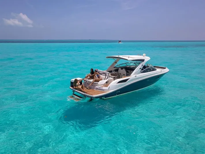  Yacht Photos Pics 