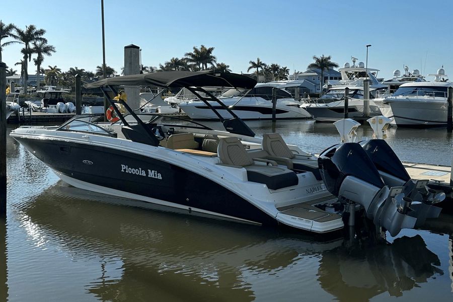 2022 Sea Ray SDX 290