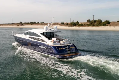 Princess V65